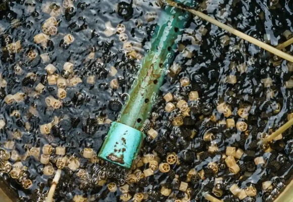 11101_mbbr-stp-img-Cl71z7HR